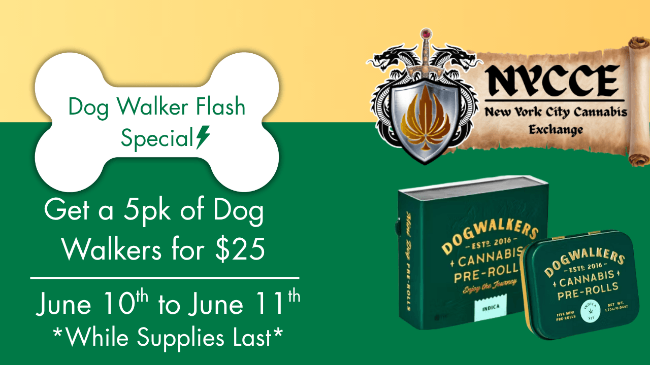Copy of Dog Walker Special
